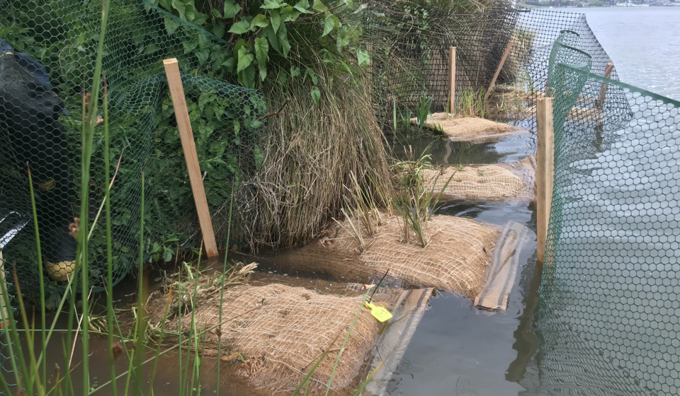 uw wetlands_installed 5.0s