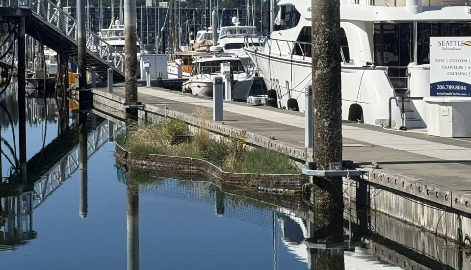 WEBSITE A1 Edited Sqaure